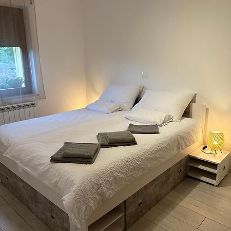 Apartma Anze Samec Dobravlje エクステリア 写真